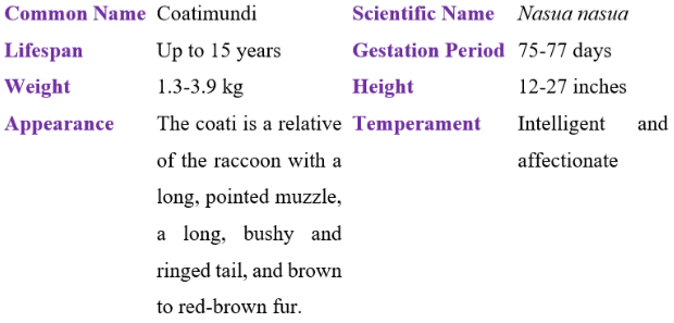 coatimundi table