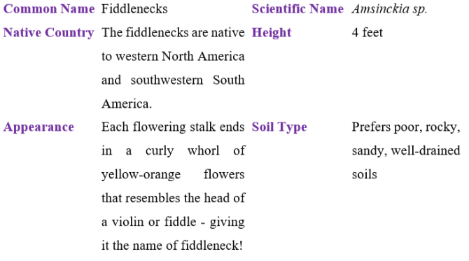 fiddlenecks table