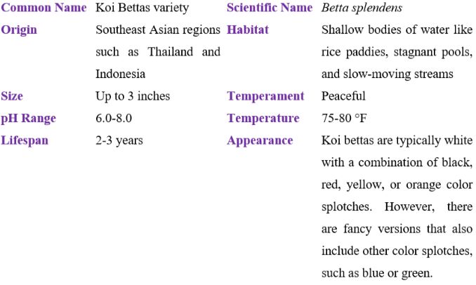 koi bettas variety table