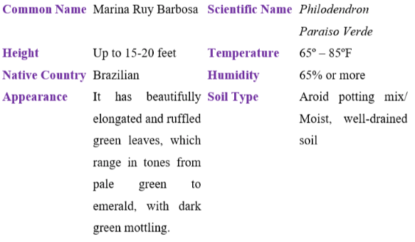 marina ruby barbosa table