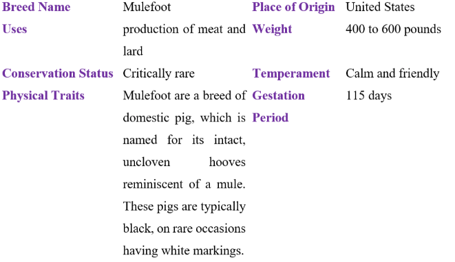 mulefoot table