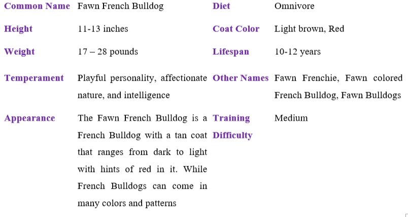 fawn-french-bulldog table