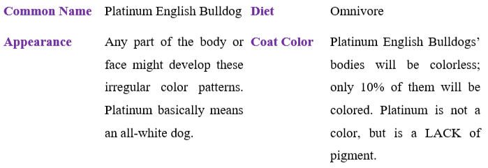 platinum-english-bulldog table