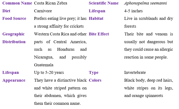 costa-rican-zebra-table