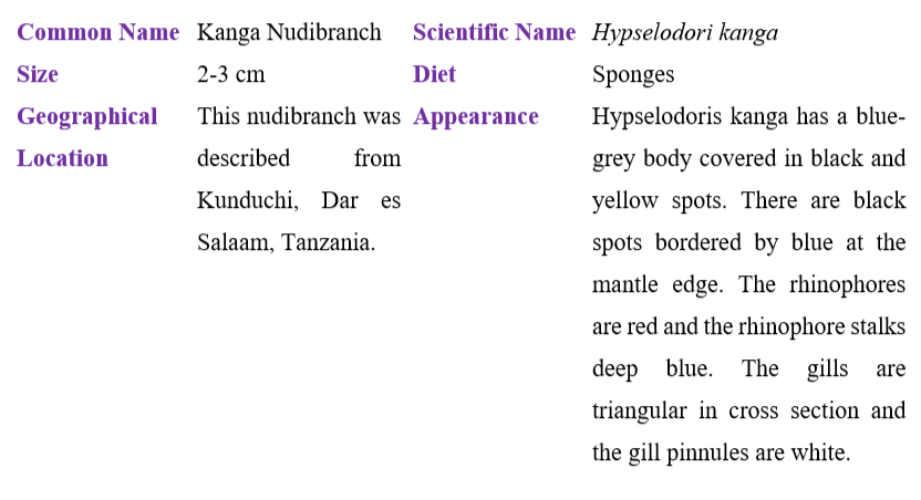 hypselodoris-kanga-table