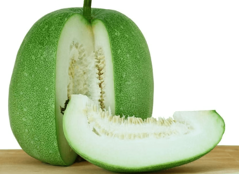 ash-gourd
