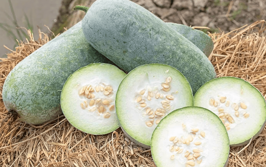ash-gourd.