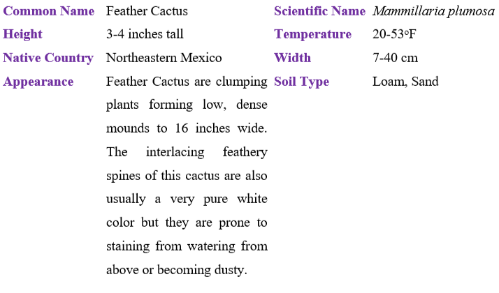 feather-cactus-table