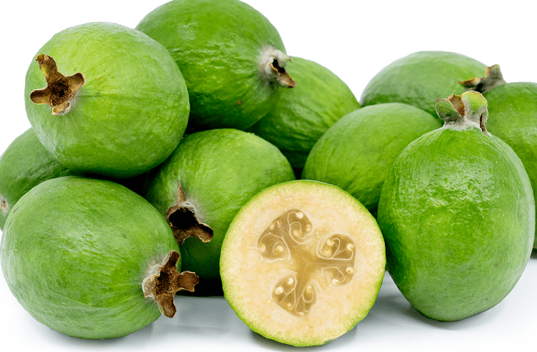 feijoa