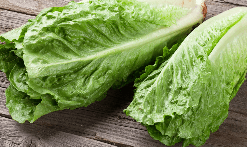 lettuce.
