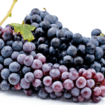 zinfandel-grape