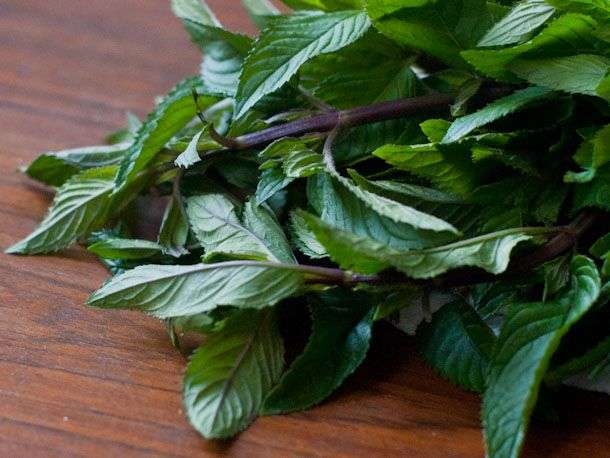 Peppermint.